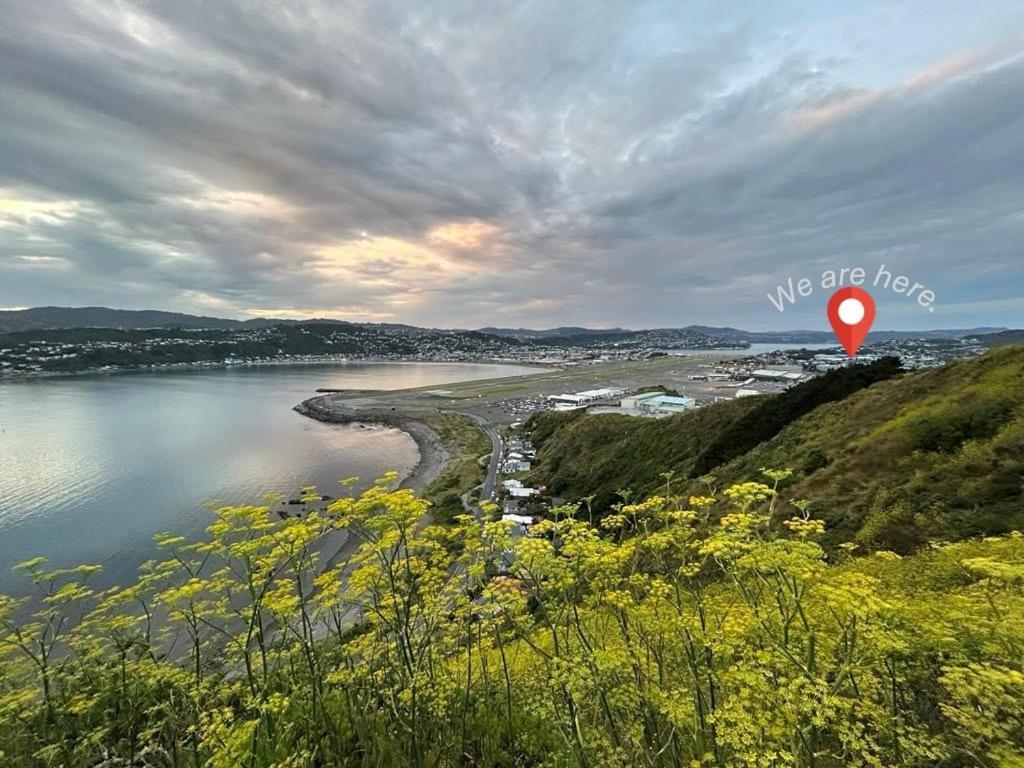 Airport Stays Wellington Eksteriør bilde